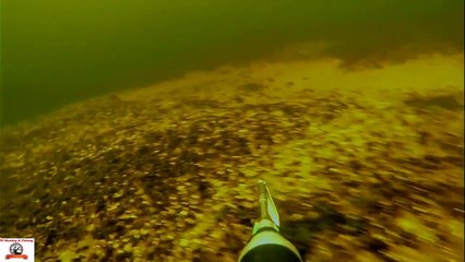 Spearfishing, the Volga river.  Подводная охота  р  волга