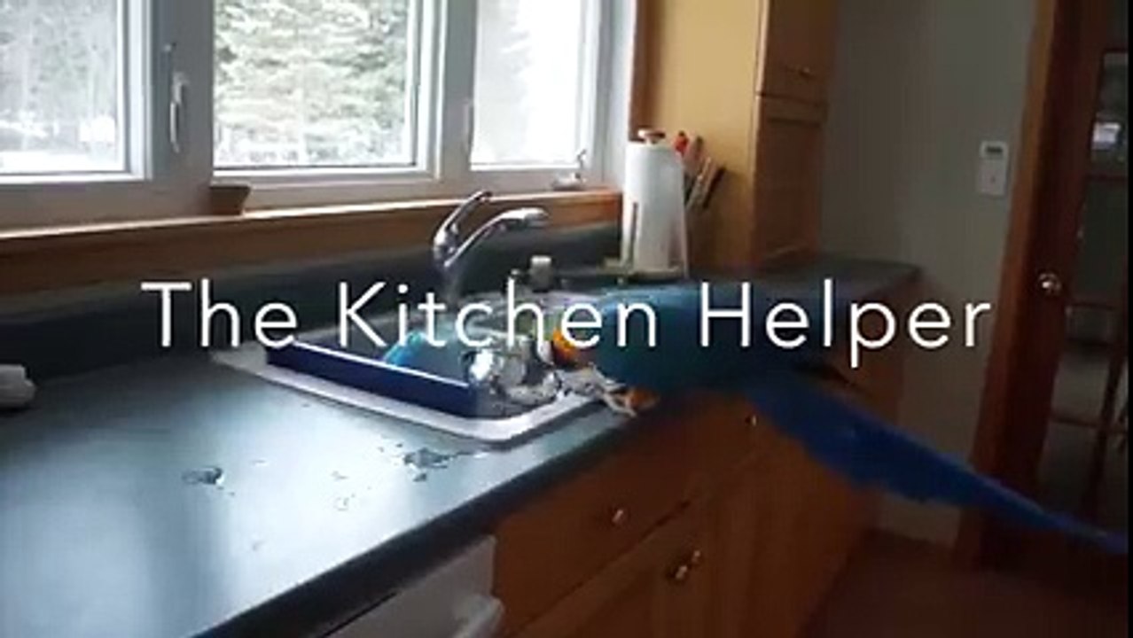 Babanızın Uşağı Yok! Kirletip Kirletip Buraya Atıyonuz.