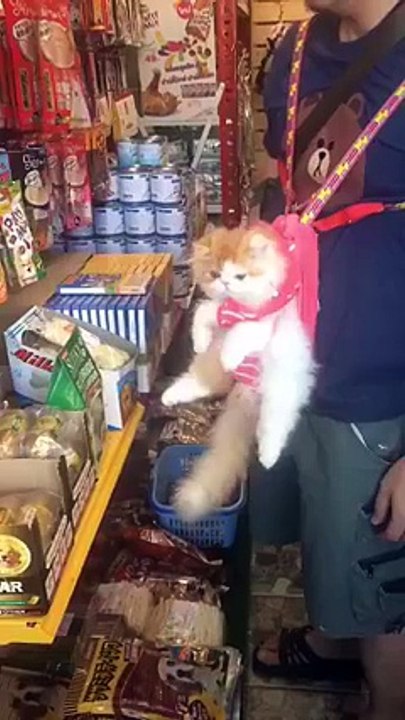 Bebeğini Gezdirmeye Çıkarmış