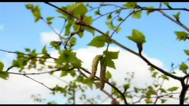 هدى وبينات|الحلقة 6- رمضان 1436|ج6/2- الشيخ صالح المنجد.