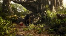 Księga dżungli ONLINE (2016) cały film HD lektor (link w opisie)