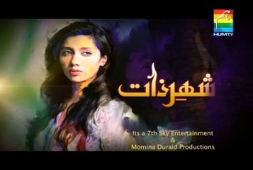 Shehr e Zaat by Hum Tv Episode 15 - Preview