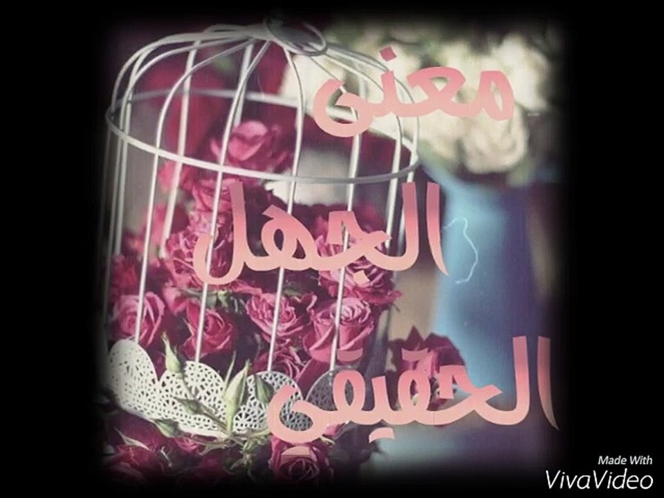 معنى الجهل الحقيقي