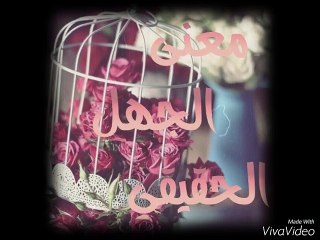 معنى الجهل الحقيقي