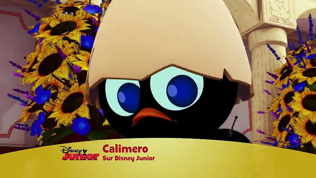 Calimero, nouvelle série - Il peut toujours compter sur ses amis !