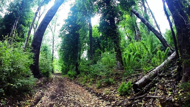 Malleco - Región de la Araucanía (Teaser GoPro Hero3+)