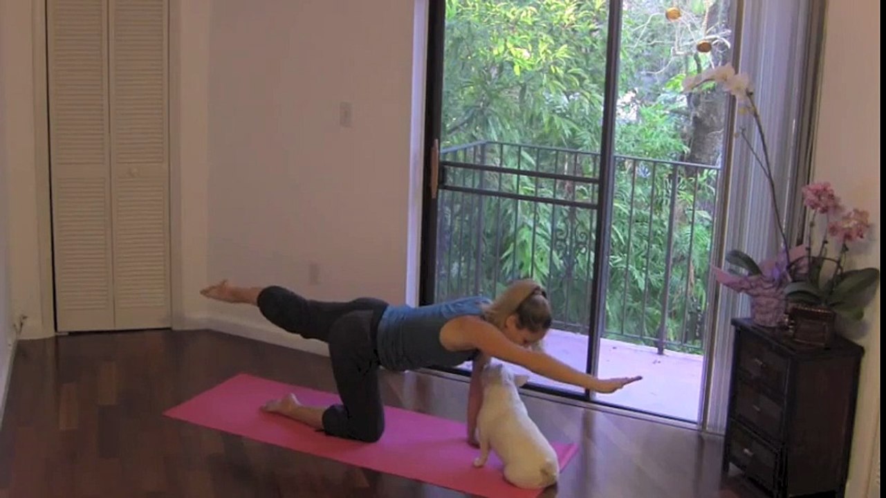 Core Floor - 20 Minute Abs Workout _ Home Exercises for Ab and Oblique Muscles