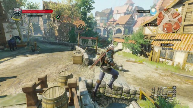 THE WITCHER 3 WALKTHROUGH PART 197 - BROTHERS IN ARMS