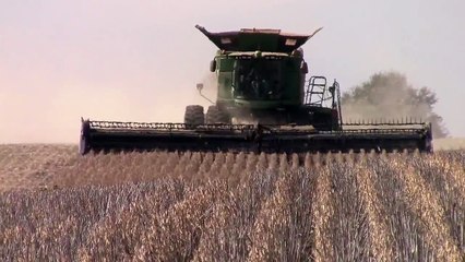 John Deere S690 Harvesting Soybeans