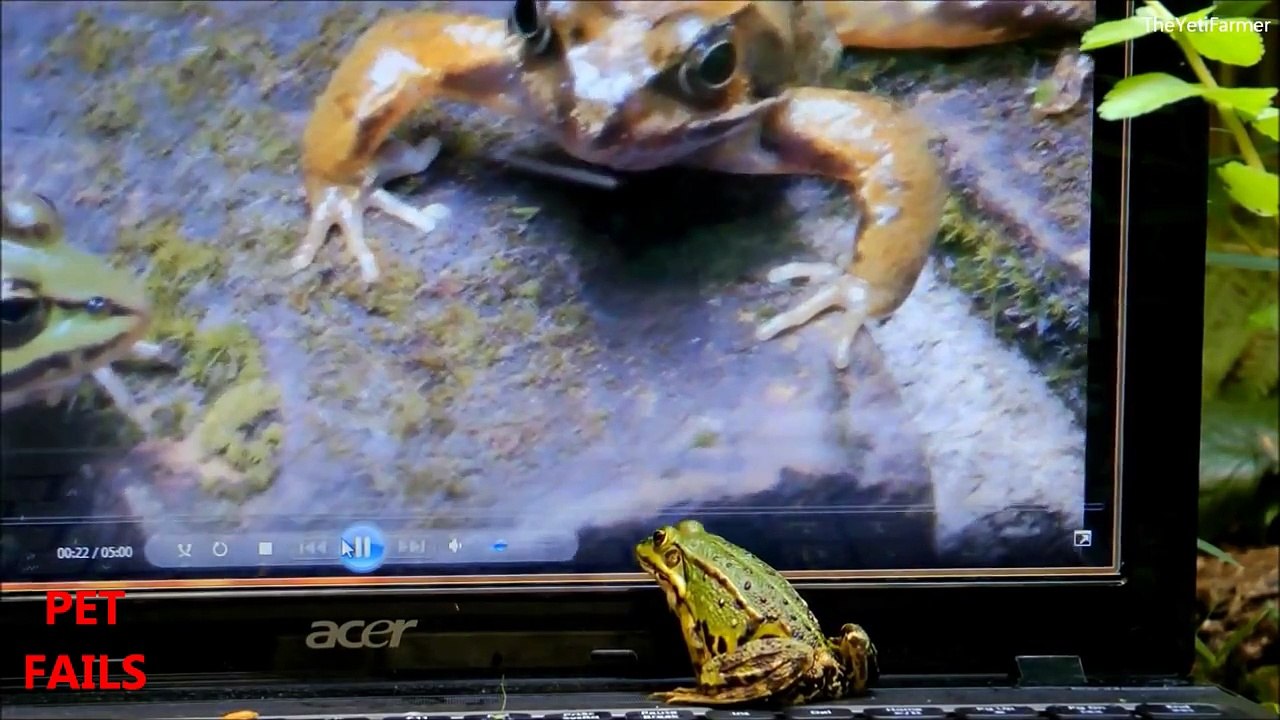 Funny DOGS vs COMPUTERS - Compilation 2014