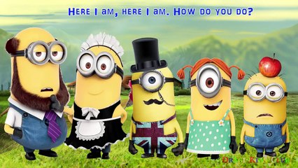 Minions Finger Family Song | Nursery Rhyme for Children | Finger Family Minions