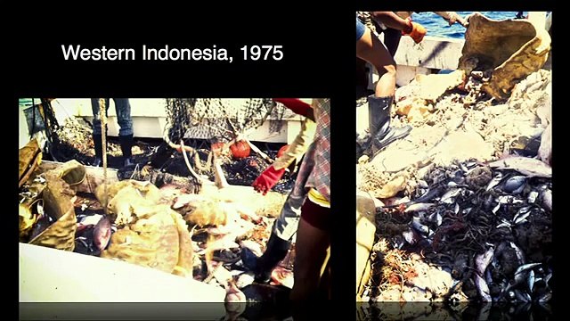 Daniel Pauley: The oceans shifting baseline: FISH: Documentary,Lecture,Talk (supply food)