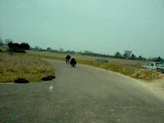 pocket 39cc vs pit bike 107cc