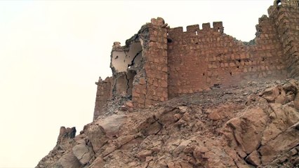 Syrian gov't forces push deeper into Palmyra, expect to regain control within days