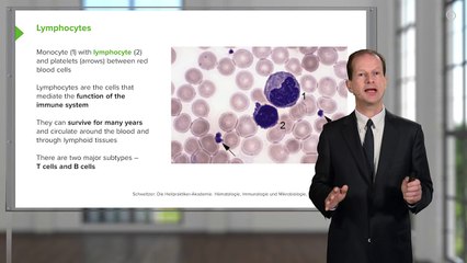 Blood Cells â€“ Hematology - Medical Education Videos