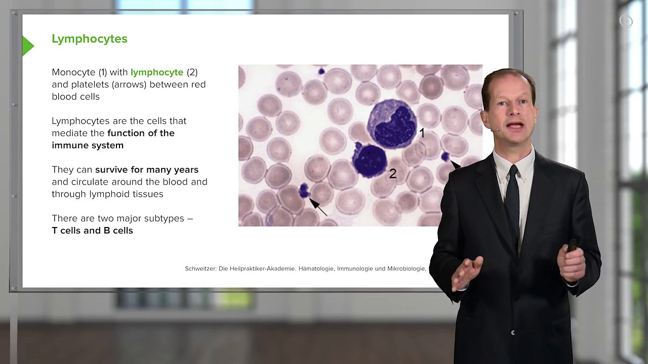 Blood Cells â€“ Hematology - Medical Education Videos