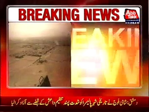 Syrian historic city Palmira liberated from ISIS occupation