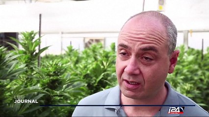 Israël prend très au sérieux le cannabis thérapeutique