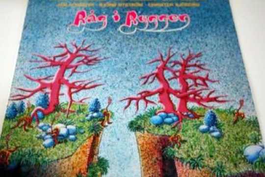 Råg I Ryggen Det Kan Val Inte Vara Farligt 1975 Swedish Heavy Prog