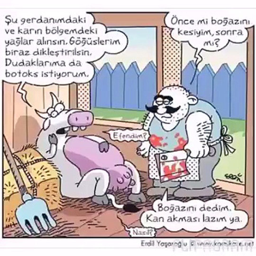 Komik videolar
