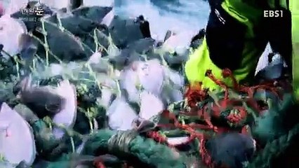 세계의 눈.160327