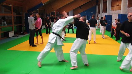 Applications lors du stage KARATÉ DEFENSE