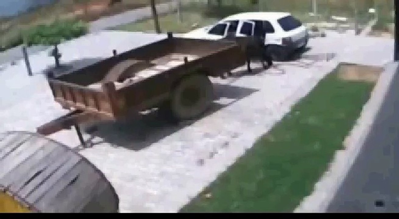Stealing cows