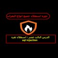 sql injection استغلال ثغره