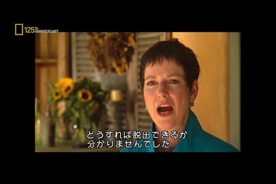 衝撃の瞬間２「スペイン・航空機衝突事故」［二］　(GG)