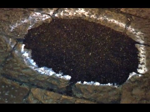 Napoli - Carabiniere-motociclista muore in incidente a Posillipo (26.03.16)