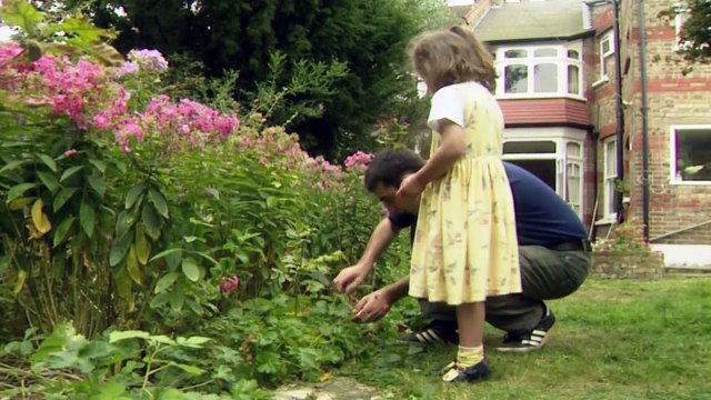 Teletubbies: Ladybirds (Beetles) - Full Episode