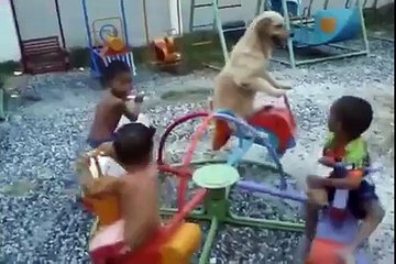 Just a dog chilling on a carousel with his mates