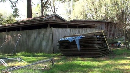 Meet Billy, Rescued From a Puppy Mill