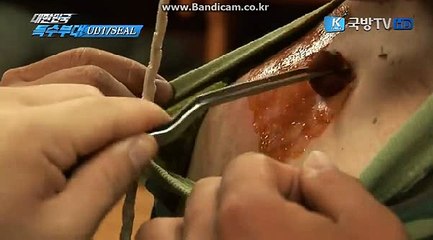 토토솔루션 솔루션소스 올자동 카톡: haricuty스카이프:haricuty