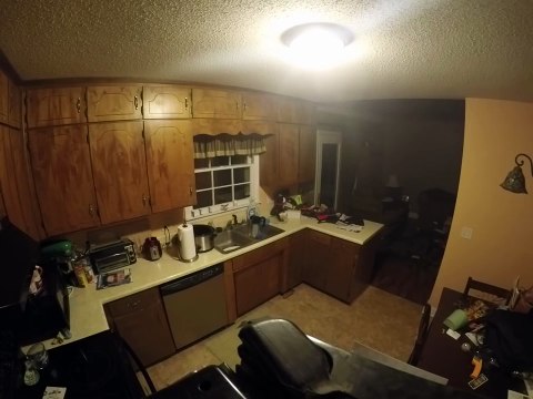 Jose Luis Colmenter: Esto hace en la cocina un perro que está solo en casa