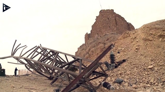 Palmyre libérée de l'Etat islamique, un important exploit selon Assad