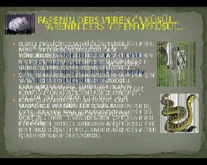 Farenin ders veren hikayesi