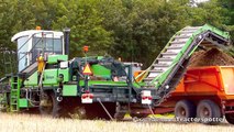 Tulip harvest, washing, sorting and peeling | Malieflower Stad aan t Haringvliet 2014