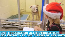 Une association allie l'éducation des enfants et des chiens de refuges ! Plus d'infos dans la minute chien #171