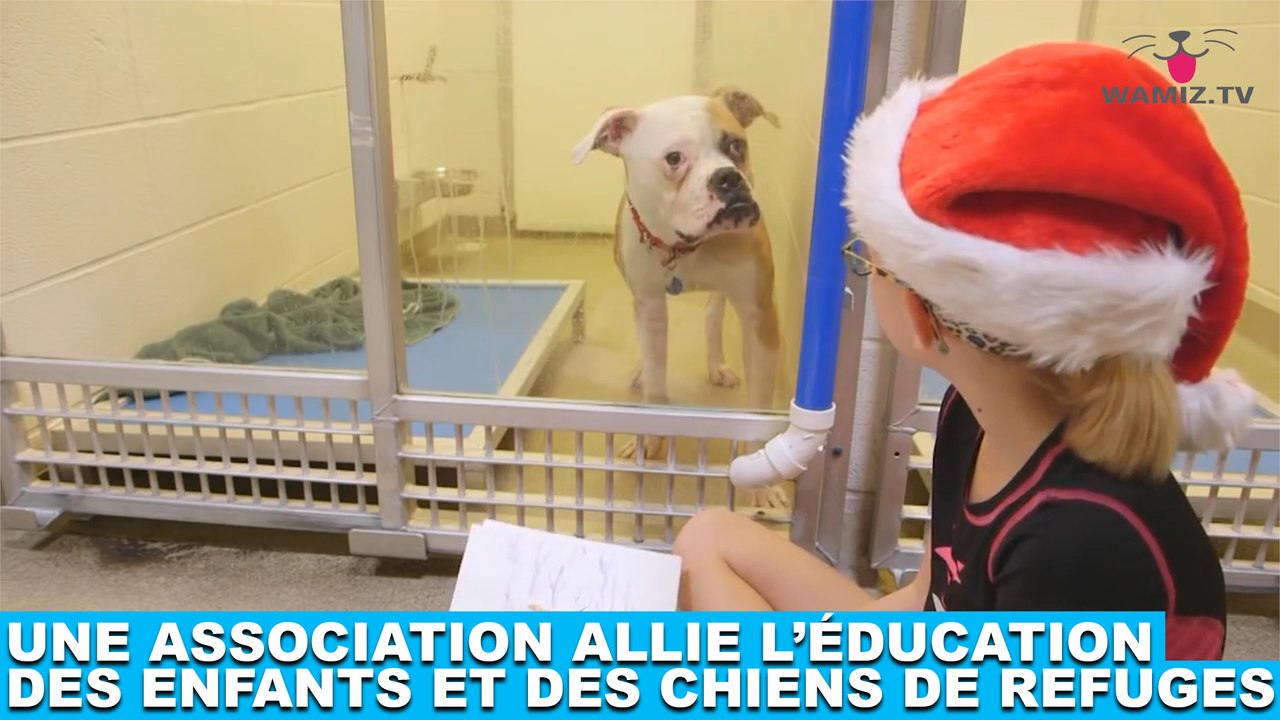 Une association allie l'éducation des enfants et des chiens de refuges ! Plus d'infos dans la minute chien #171