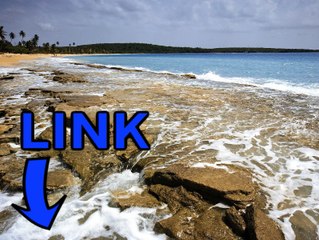 Download Reign Of Kings steam key generator