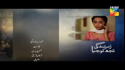 Zindagi Tujh Ko Jiya Episode 21 Promo HUM TV Drama 24 March 2016