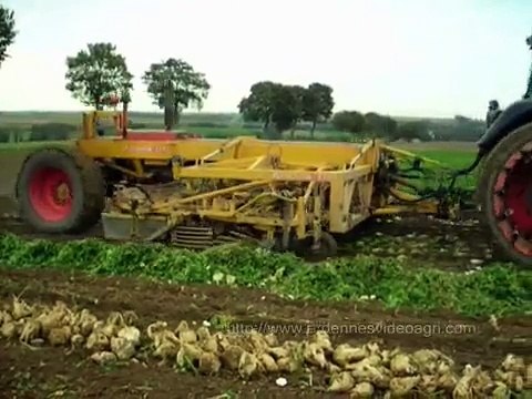 J.P.S. avec une arracheuse 12 rangs et une débardeuse 50 m3 à larrachage des betteraves e