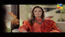 Tere Mere Beech Episode 17 Full Hum TV Drama 20 Mar 2016