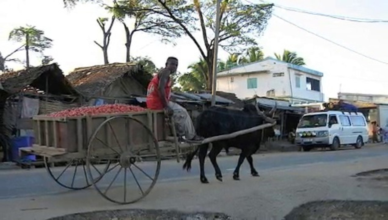 Ambilobe tanananay