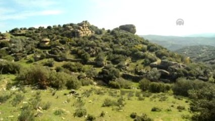 Hazreti İsa Freskleri ve Kaya Mezarları Turizme Kazandırılacak
