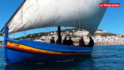 Voiles latines. Elles seront présentes en juillet à Brest