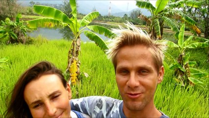 Special power - fruits, Koh Chang - Thailand