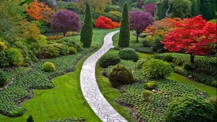 Lena Biolcati   VITA MIA