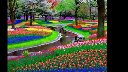 Lena Biolcati   VIVI